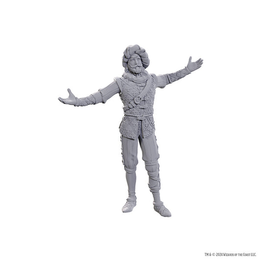 D&D Minis - Baldur's Gate 3 - Volo & Withers