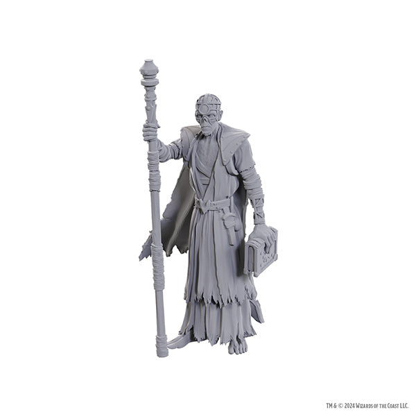 D&D Minis - Baldur's Gate 3 - Volo & Withers
